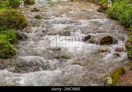 the ephemeral ponds of Tovel: small pearls with turquoise and indigo hues set within the basins of the extensive stony ground of Tovel’s Glares,Italy Stock Photo