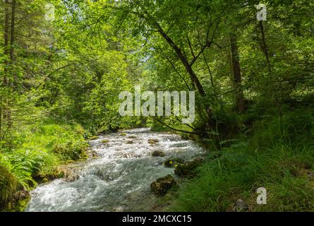 the ephemeral ponds of Tovel: small pearls with turquoise and indigo hues set within the basins of the extensive stony ground of Tovel’s Glares,Italy Stock Photo