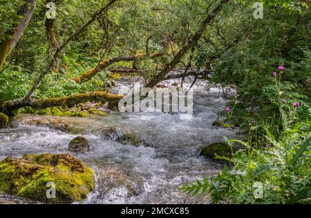 the ephemeral ponds of Tovel: small pearls with turquoise and indigo hues set within the basins of the extensive stony ground of Tovel’s Glares,Italy Stock Photo