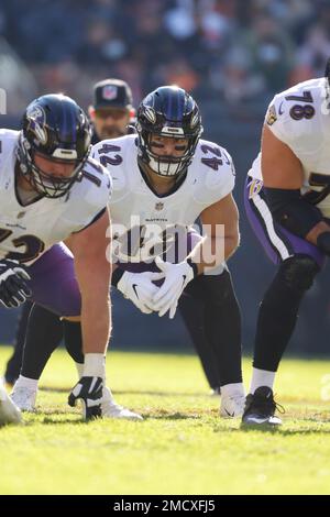 Baltimore Ravens fullback Patrick Ricard (42) prior to an NFL football game  against the Denver Broncos, Sunday, Oct. 3, 2021, in Denver. (AP  Photo/David Zalubowski Stock Photo - Alamy