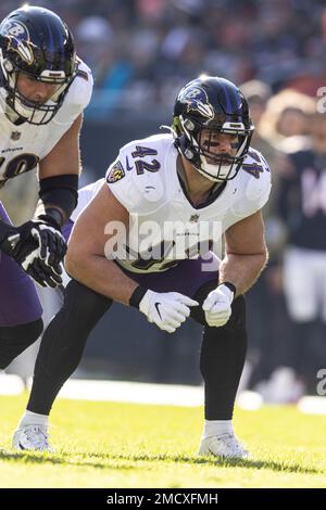 Baltimore Ravens fullback Patrick Ricard (42) prior to an NFL football game  against the Denver Broncos, Sunday, Oct. 3, 2021, in Denver. (AP  Photo/David Zalubowski Stock Photo - Alamy