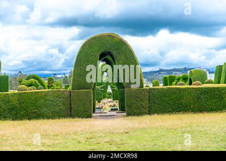 Tulcan, Ecuador - October 8, 2022: cemetery with green sculptures made of plants Stock Photo