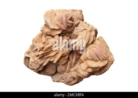 Desert Rose - Jordan Stock Photo