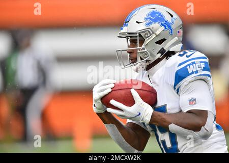 Detroit Lions Running Back Godwin Igwebuike Editorial Stock Photo - Stock  Image