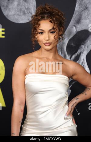 LOS ANGELES, CA - JANUARY 21: DaniLeigh at the world premiere of Fear at the Directors Guild of America in Los Angeles, California on January 21, 2023. Credit: Walik Goshorn/MediaPunch Stock Photo