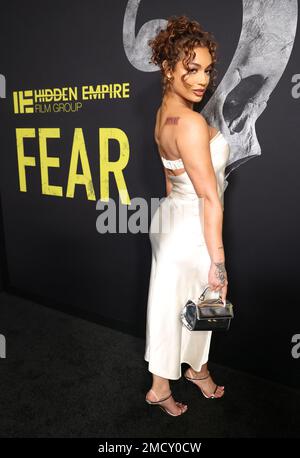 LOS ANGELES, CA - JANUARY 21: DaniLeigh at the world premiere of Fear at the Directors Guild of America in Los Angeles, California on January 21, 2023. Credit: Walik Goshorn/MediaPunch Stock Photo