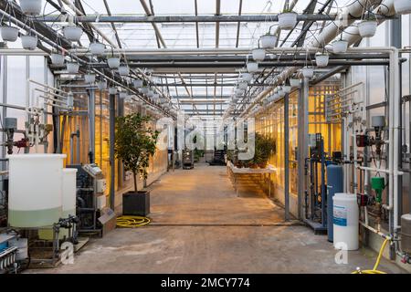 Aarhus, Denmark - November 16, 2022: Green house overview with plants, lights and all kinds of equipment and fluids Stock Photo
