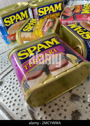 Different Flavors of Tins of Spam luncheon meat, USA, 2023, USA Stock Photo