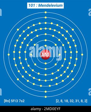 Md Mendelevium, Periodic Table of the Elements, Shell Structure of Mendelevium Stock Vector