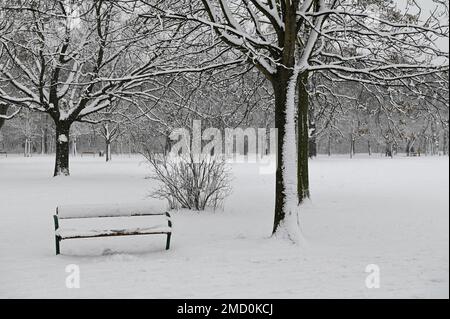 Vienna, Austria. 22nd January, 2023. The first snow in Vienna in the Prater Stock Photo