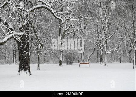 Vienna, Austria. 22nd January, 2023. The first snow in Vienna in the Prater Stock Photo