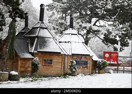 Vienna, Austria. 22nd January, 2023. The first snow in Vienna in the Prater Stock Photo