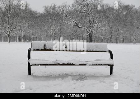 Vienna, Austria. 22nd January, 2023. The first snow in Vienna in the Prater Stock Photo