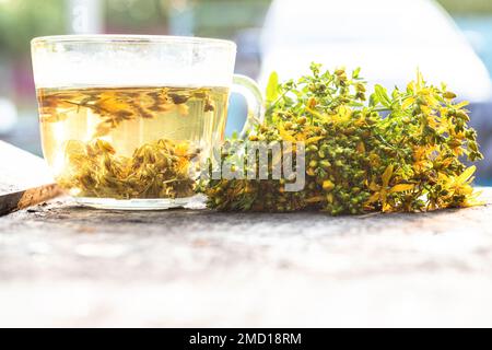 bunch of fresh flowering medicinal grass of St. John's wort near cup with tincture of St. John's wort. Transparent checker with brewed St. John's wort Stock Photo