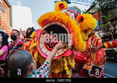 january 22 2025 chinese new year is holiday