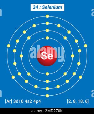 Se Selenium, Periodic Table of the Elements, Shell Structure of Selenium Stock Vector