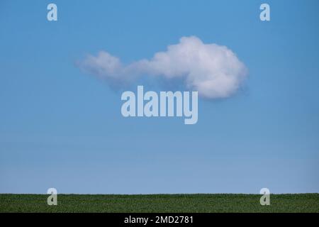 Single White Cumulus Cloud in a clear blue sky above a Field of Grass, Cheshire, England, UK Stock Photo
