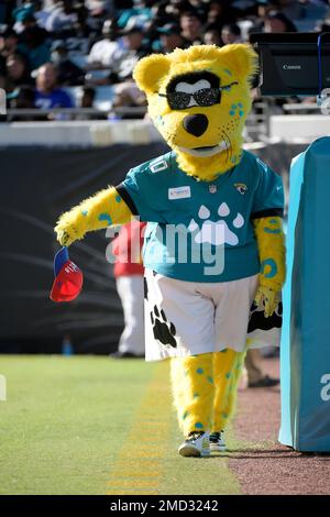 Jacksonville Jaguars mascot Jaxson De Ville holds a Buffalo Bills hat  during the second half of an NFL football game, Sunday, Nov. 7, 2021, in  Jacksonville, Fla. (AP Photo/Phelan M. Ebenhack Stock