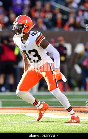 Foxborough, Massachusetts, USA. 14th Nov, 2021. New England Patriots  running back Rhamondre Stevenson (38) and Cleveland Browns free safety John  Johnson III (43) exchange looks in the endzone after a Stevenson's touchdown