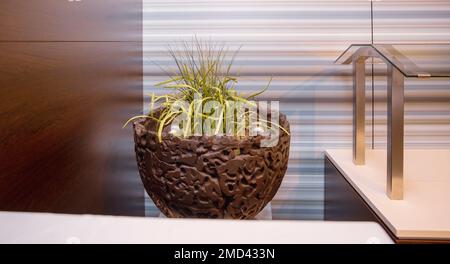 Brown round flowerpot with green plants in the office, interior, design concept