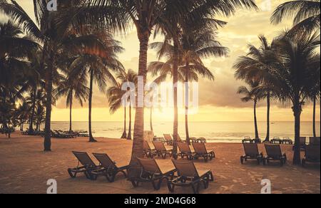 Sunbeds on a tropical beach at sunset, color toning applied. Stock Photo
