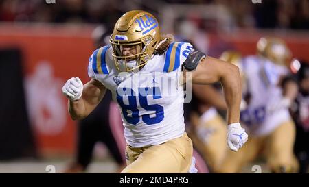 UCLA tight end Greg Dulcich could garner attention from many in 2021 –  Orange County Register