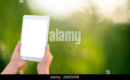 Digital tablet in hands on a green background Stock Photo