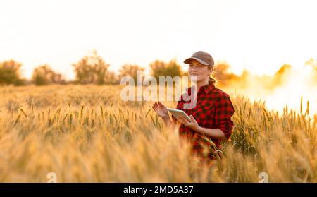 A woman farmer examines the field of cereals and sends data to the cloud from the tablet. Smart farming and digital agriculture.  Stock Photo