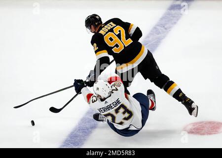 Boston Bruins vs. Florida Panthers