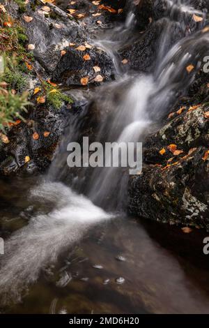 Small waterfall with colouful autumnal leaves Stock Photo