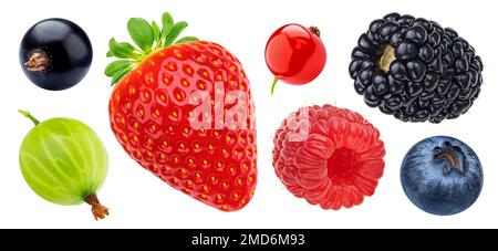 Berry isolated on white background with clipping path, collection Stock Photo