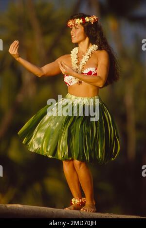 A Young Adult Female In A Traditional Grass Skirt And Lei Dances The Hula  And Smiles High-Res Stock Photo - Getty Images
