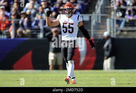 Cincinnati Bengals linebacker Logan Wilson (55) runs for the play during an  NFL football game against the Kansas City Chiefs, Sunday, Jan. 2, 2022, in  Cincinnati. (AP Photo/Emilee Chinn Stock Photo - Alamy