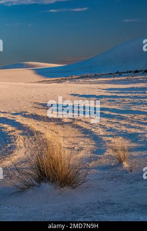 Hard Ridges Man Hard ridges of sand between blowing dunes in the gypsum dunes of White ...