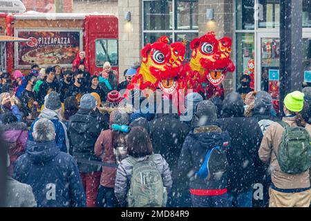 Detroit, Michigan, USA. 22nd Jan, 2023. The Michigan Taiwanese American Organization celebrates Lunar New Year with a parade, lion dance, and dragon dance at Valade Park. Credit: Jim West/Alamy Live News Stock Photo