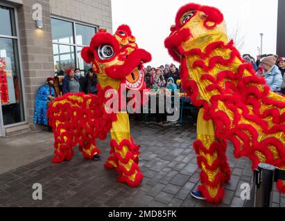 Detroit, Michigan, USA. 22nd Jan, 2023. The Michigan Taiwanese American Organization celebrates Lunar New Year with a parade, lion dance, and dragon dance at Valade Park. Credit: Jim West/Alamy Live News Stock Photo