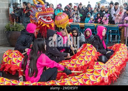 Detroit, Michigan, USA. 22nd Jan, 2023. The Michigan Taiwanese American Organization celebrates Lunar New Year with a parade, lion dance, and dragon dance at Valade Park. Credit: Jim West/Alamy Live News Stock Photo