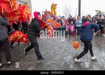 Detroit, Michigan, USA. 22nd Jan, 2023. The Michigan Taiwanese American Organization celebrates Lunar New Year with a parade, lion dance, and dragon dance at Valade Park. Credit: Jim West/Alamy Live News Stock Photo