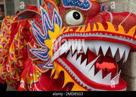 Detroit, Michigan, USA. 22nd Jan, 2023. The Michigan Taiwanese American Organization celebrates Lunar New Year with a parade, lion dance, and dragon dance at Valade Park. Credit: Jim West/Alamy Live News Stock Photo