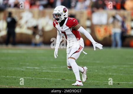 Inglewood, United States. 03rd Oct, 2021. Arizona Cardinals cornerback  Byron Murphy (7) celebrates after intercepting the ball during an NFL  football game against the Los Angeles Rams, Sunday, Oct. 3, 2021, in