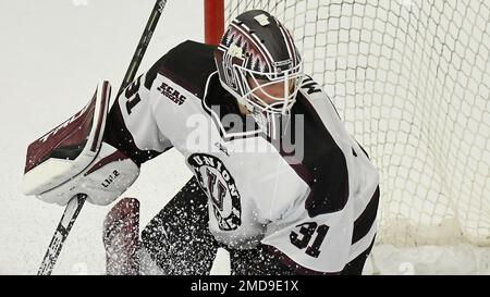 Union goaltender Connor Murphy (31) during an NCAA hockey game against  Northeastern on Saturday, Dec. 3, 2022, in Schenectady, N.Y. (AP Photo/Hans  Pennink Stock Photo - Alamy