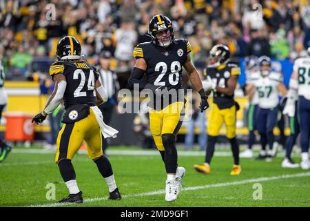 Pittsburgh Steelers safety Miles Killebrew (28) reacts after a special teams  play during an NFL football game, Sunday, Oct. 17, 2021 in Pittsburgh. (AP  Photo/Matt Durisko Stock Photo - Alamy