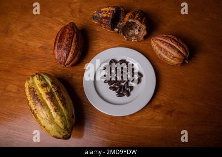 Cocoa beans next to cocoa pods, chocolate production Stock Photo