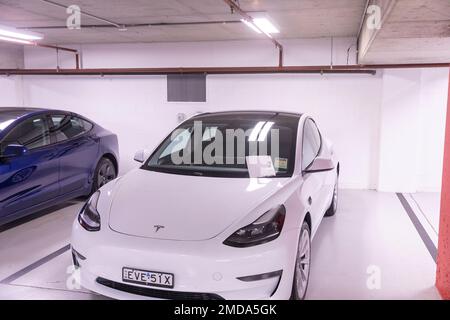 White and blue Tesla Model 3 cars await collection by the owners, handover file on windscreen,Chatswood Sydney, Australia, secure in underground park Stock Photo