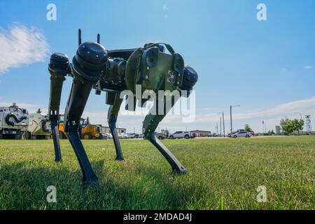 Members of the 5th Civil Engineer Squadron Chemical, Biological, Radiological and Nuclear team (CBRN) train on the new Vision 60 "Robot Dog" on Minot Air Force Base, North Dakota, June 14, 2022. The Robot Dog is used to replace warfighters, workers and military working dogs in certain situations to keep our Airmen safe. (U.S. Air Force photos by Airman Alysa Knott) 5th Civil Engineer Squadron,Airforce,CBRN,Minot,Robot Dog,minotafb, Stock Photo