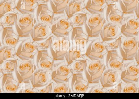 Beautiful seamless peach rose flowers background. Blossoming delicate roses on blooming flowers festive background, pastel and soft bouquet floral Stock Vector