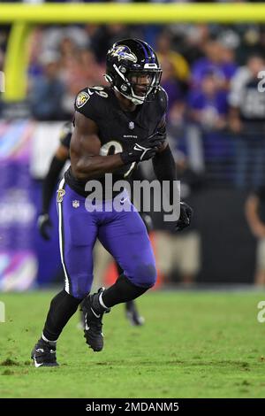 Baltimore Ravens linebacker Odafe Oweh (99) walks off the field after an  NFL football game against the New York Giants Sunday, Oct. 16, 2022, in  East Rutherford, N.J. (AP Photo/Adam Hunger Stock