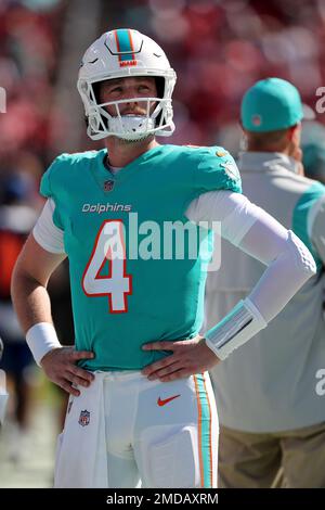 Miami Dolphins quarterback Reid Sinnett (4) prepares to throw the