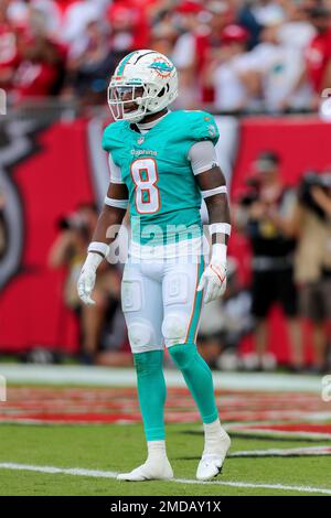 MIAMI GARDENS, FL - OCTOBER 24: Miami Dolphins free safety Jevon