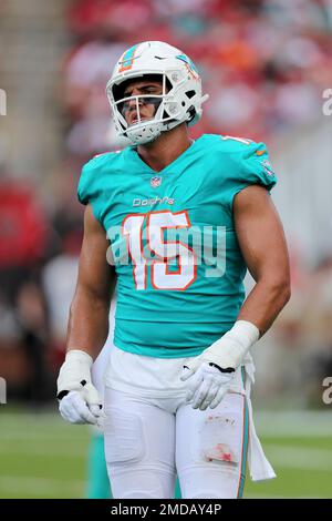 Miami Dolphins linebacker Jaelan Phillips (15) walks on the field ahead of  an NFL football game against the New York Jets, Sunday, Jan. 8, 2023, in  Miami Gardens, Fla. (AP Photo/Rebecca Blackwell